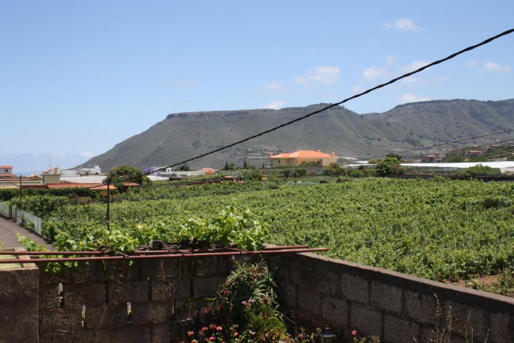 Finca El Vergel Rural Tegueste Oda fotoğraf
