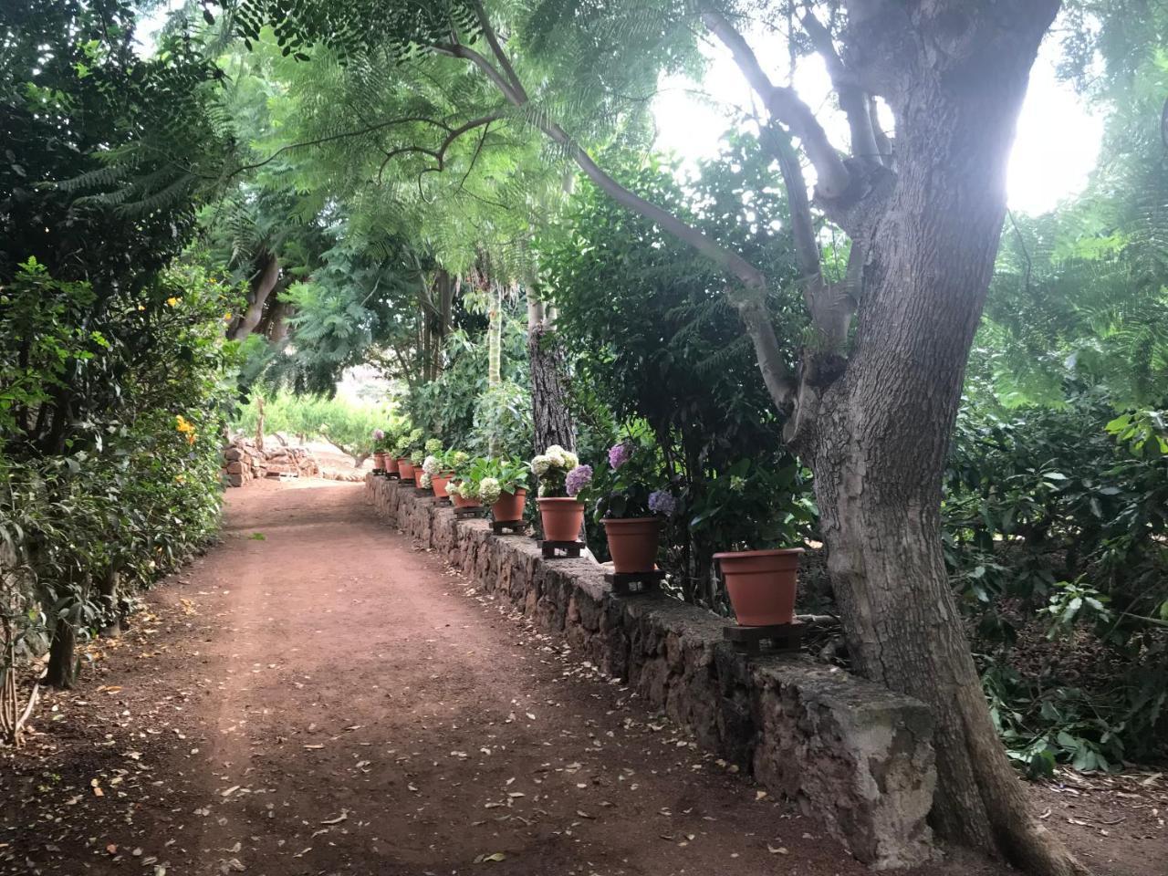 Finca El Vergel Rural Tegueste Dış mekan fotoğraf