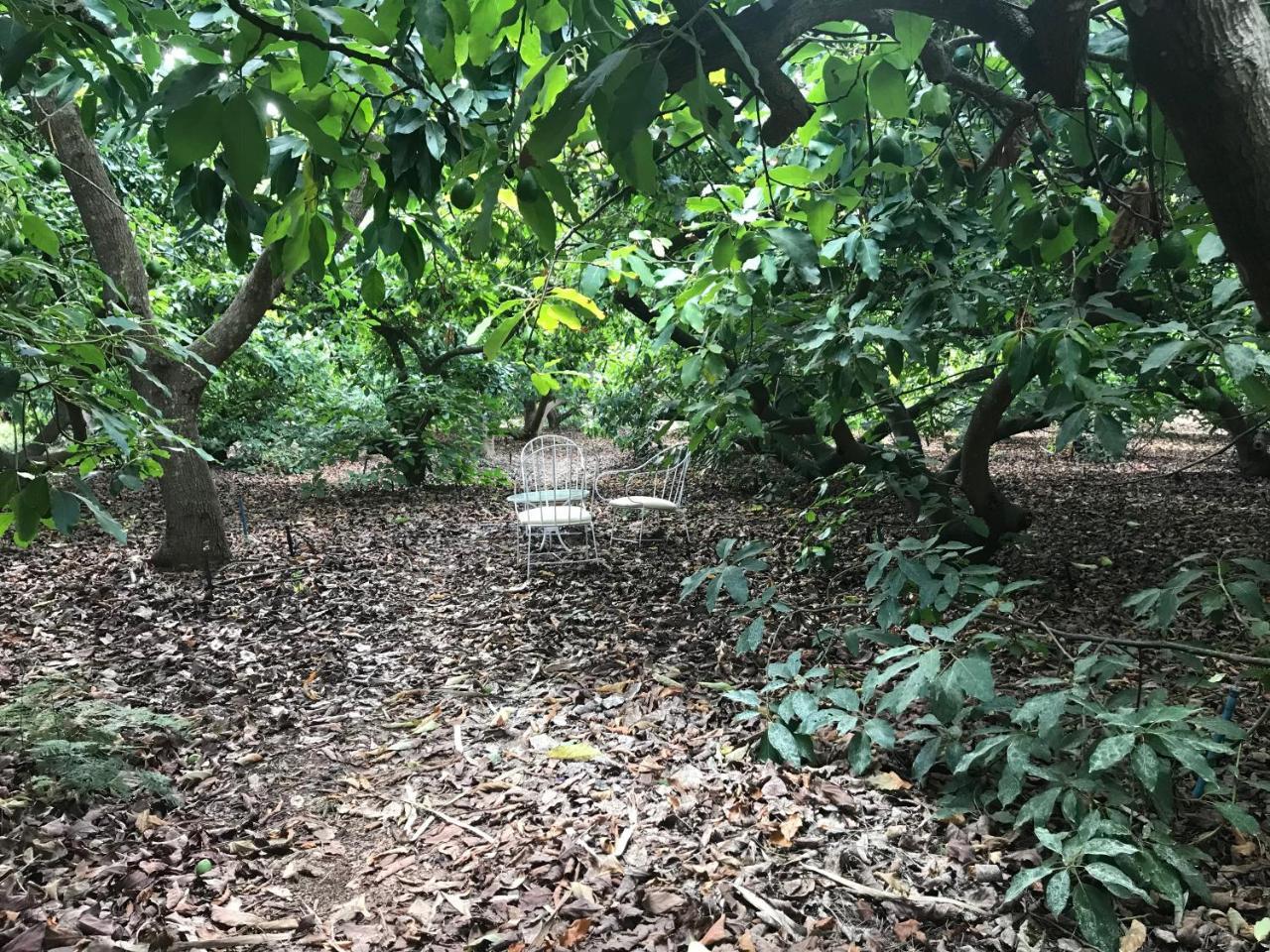 Finca El Vergel Rural Tegueste Dış mekan fotoğraf